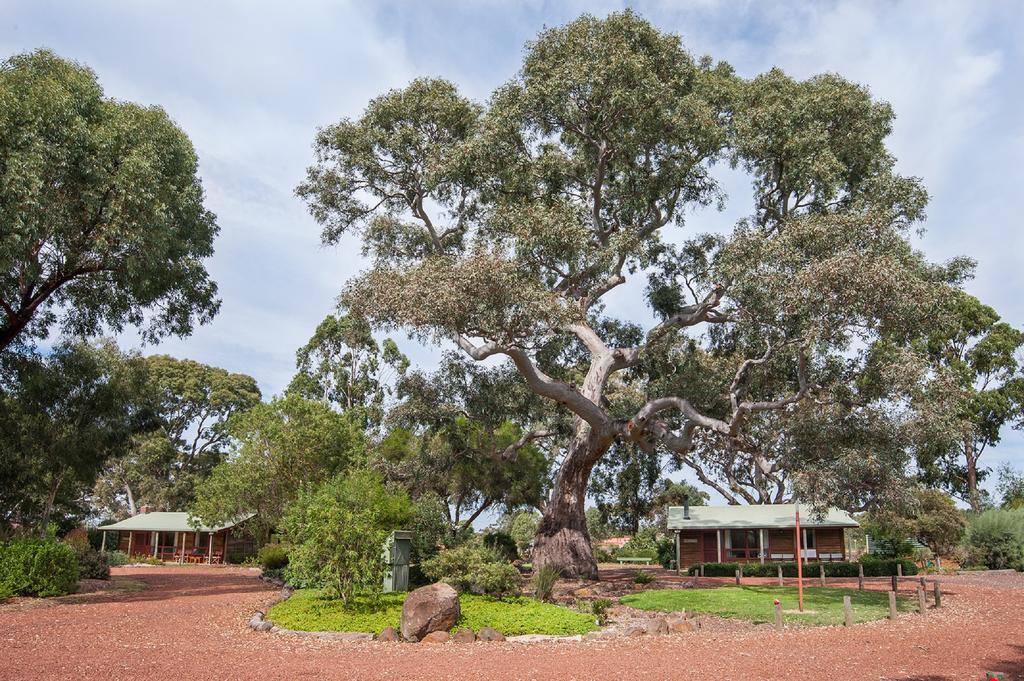 דונקלד Southern Grampians Cottages מראה חיצוני תמונה