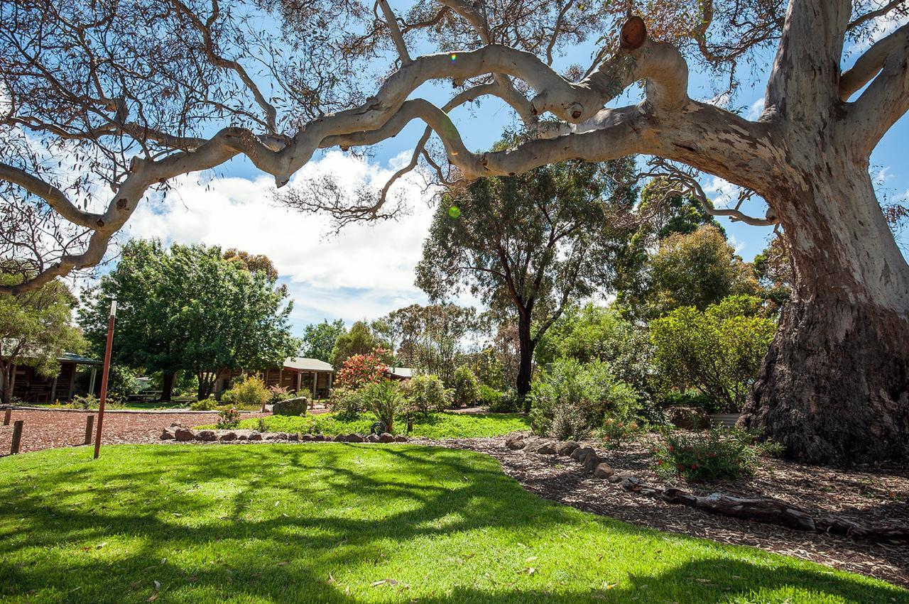 דונקלד Southern Grampians Cottages מראה חיצוני תמונה